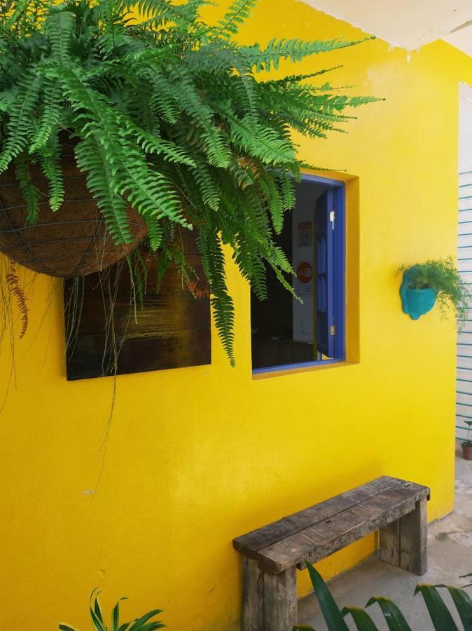 רסיפה Hostel E Pousada Boa Vista מראה חיצוני תמונה